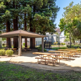 a picnic area with many trees
