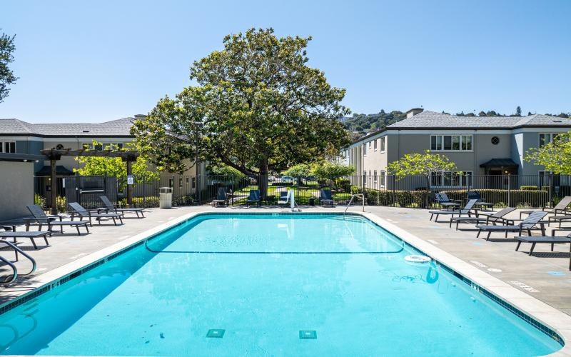 a swimming pool with chairs and trees